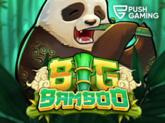 Casino slots free spins51